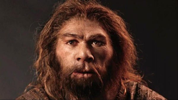 History-The Neanderthal Race – Teracube